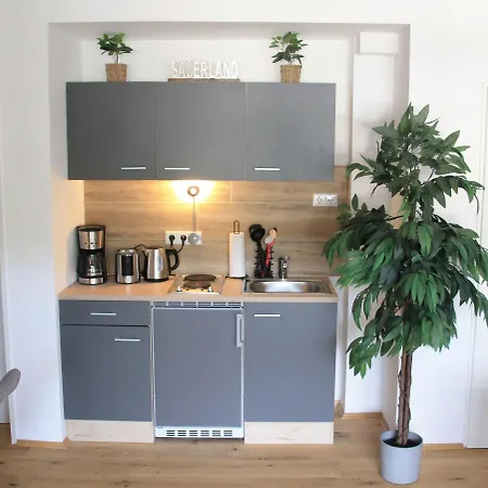 Ferienwohnung-sonnenblick-willingen Appartamento *